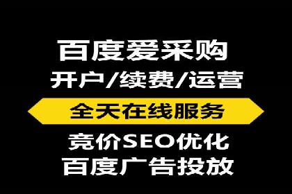 百度竞价与搜索引擎优化（SEO）的协同效应案例